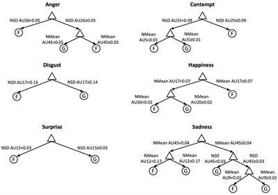 What is missing in the study of emotion expression?